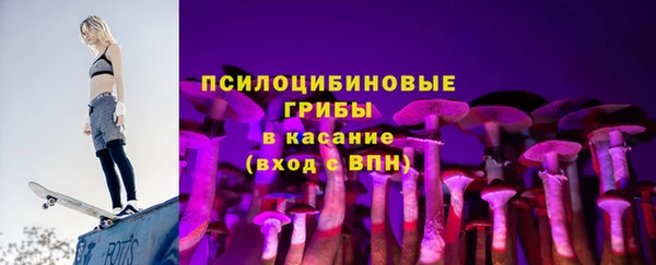 индика Волоколамск